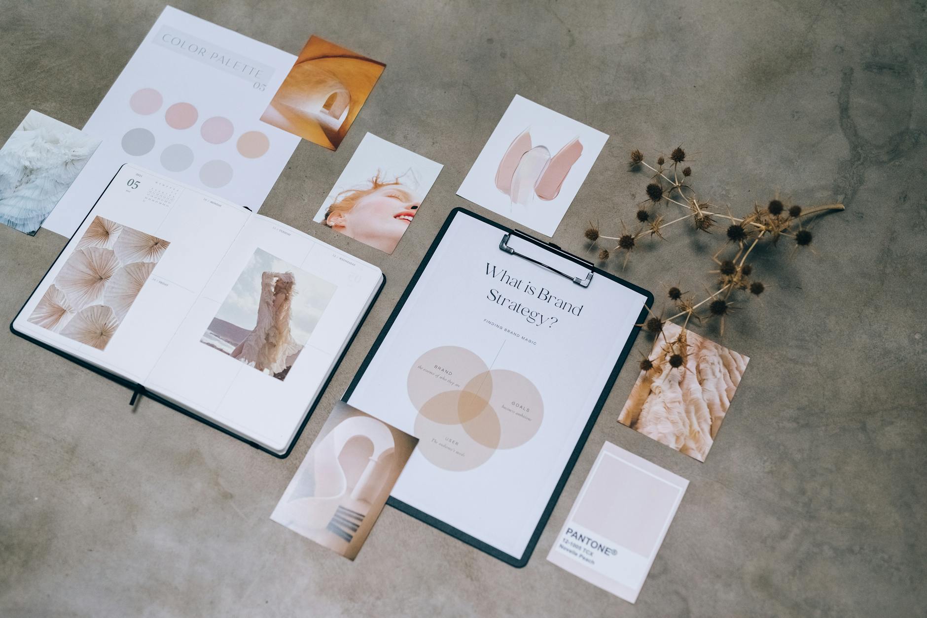 How to Build a DTC Brand From Scratch (2026)